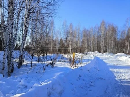 земля под ИЖС, 12 соток