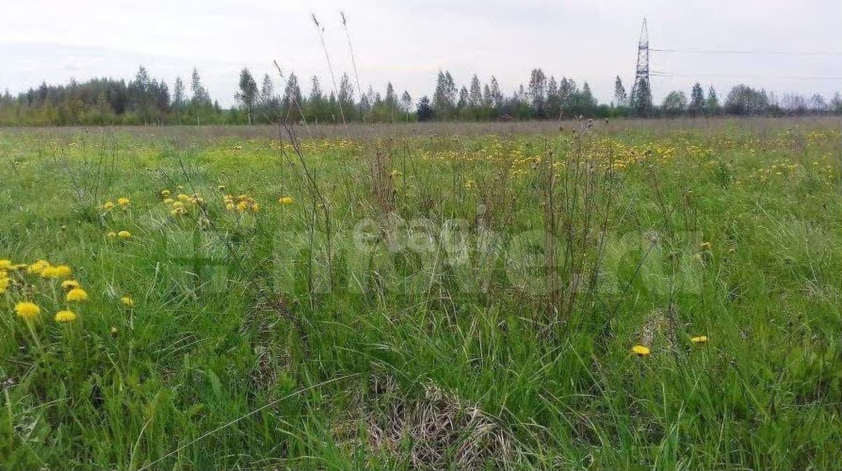 земля с/х назначения, 10 соток